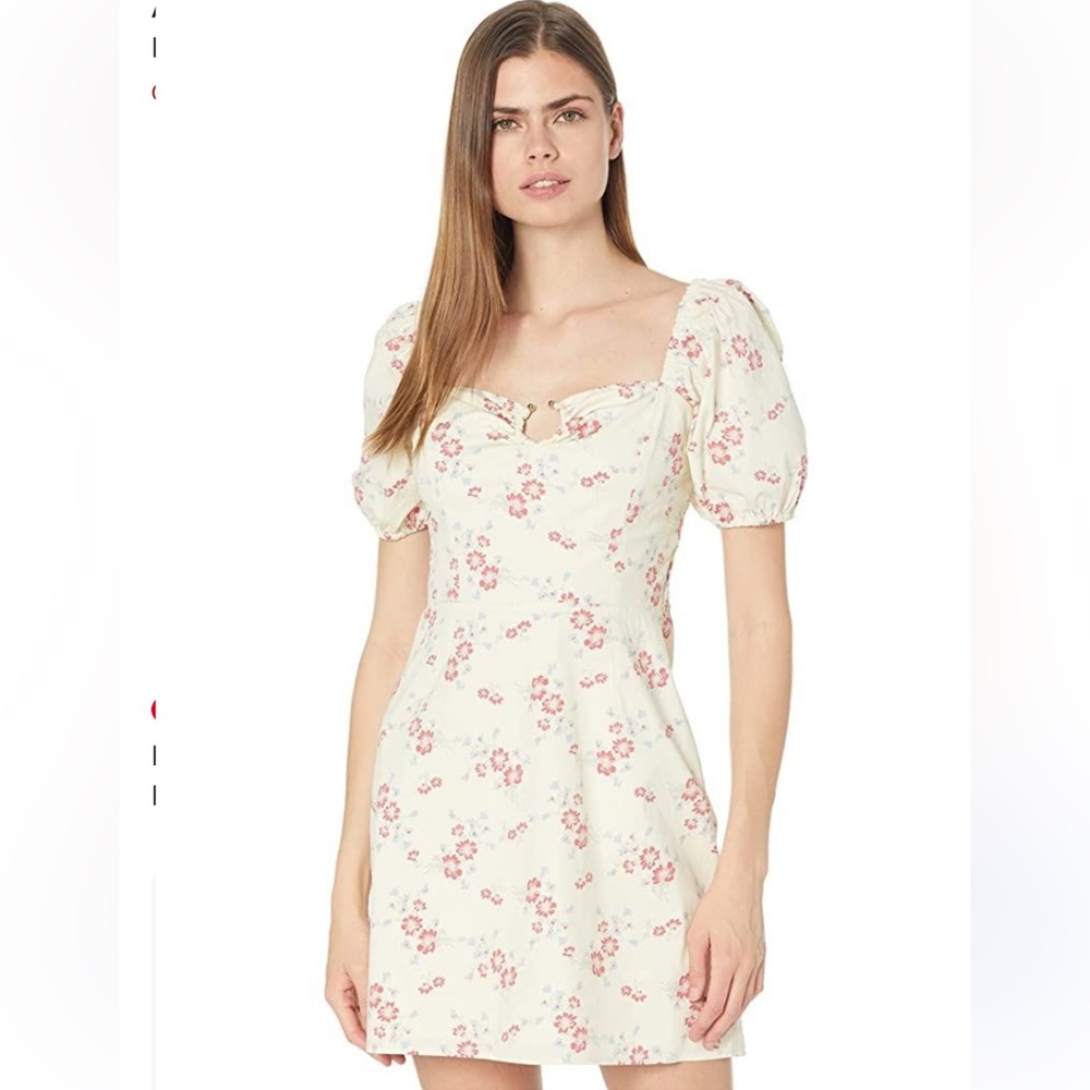 Wayf Floral Dress Lined Puff Sleeves Size M